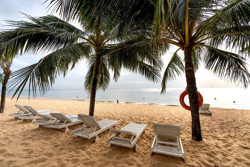 Palm trees and sun loungers on a quiet tropical beach